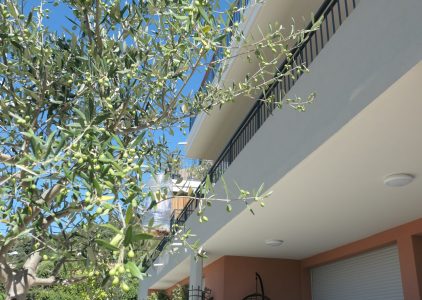 VILLA AUGUSTE